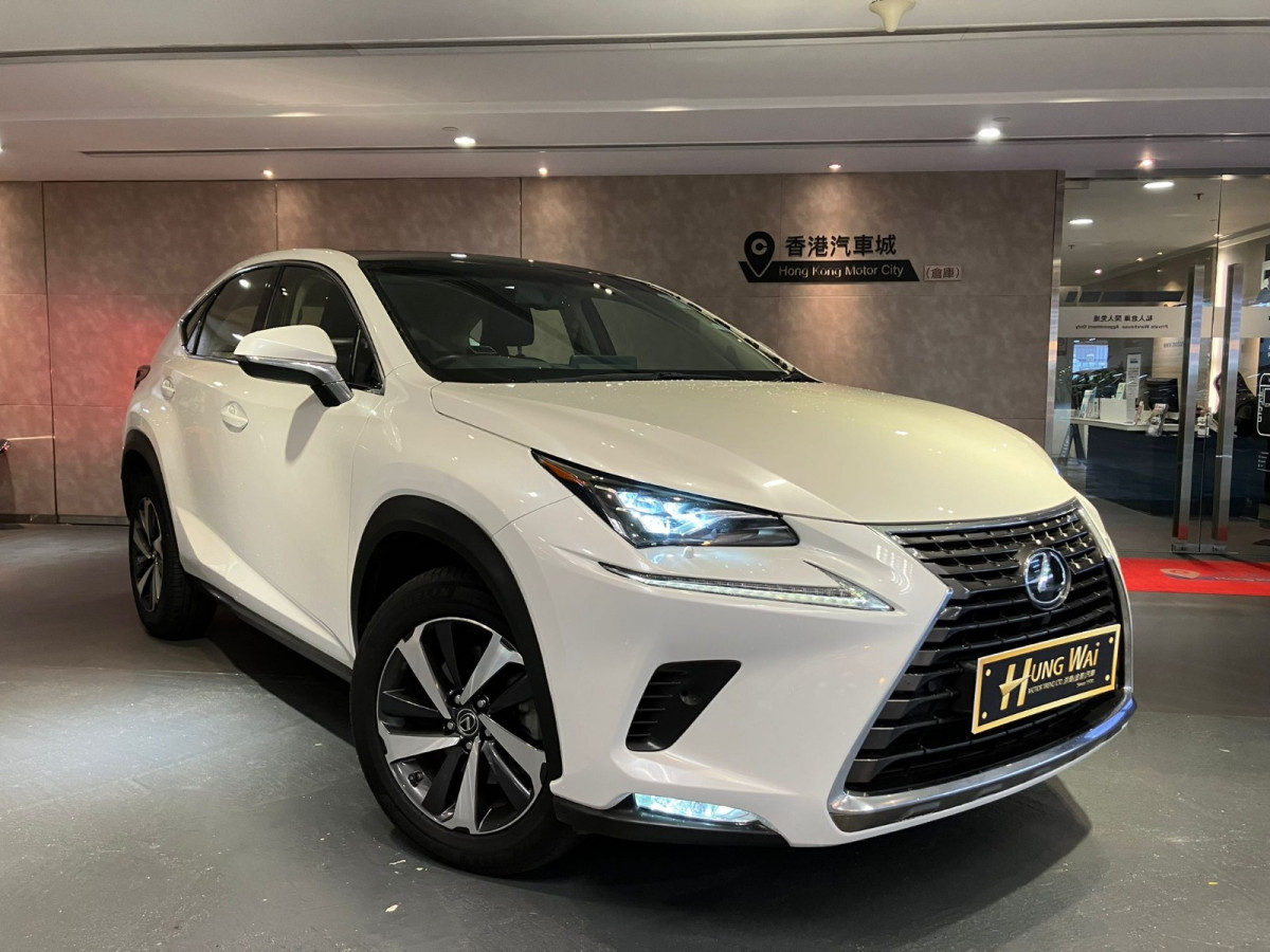 NX300 Ultimate - Image 1