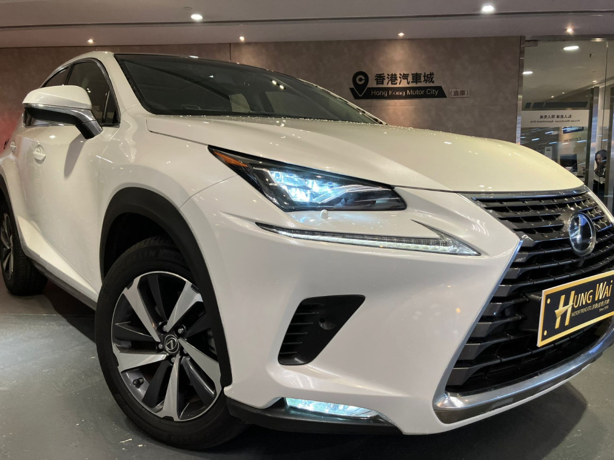 NX300 Ultimate - Image 2