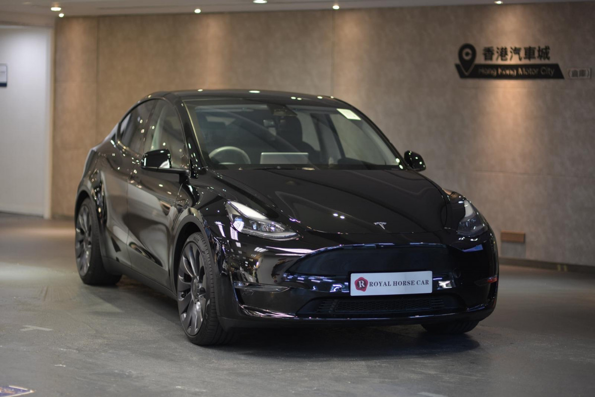 MODEL  Y  PERFORMANCE - Image 1