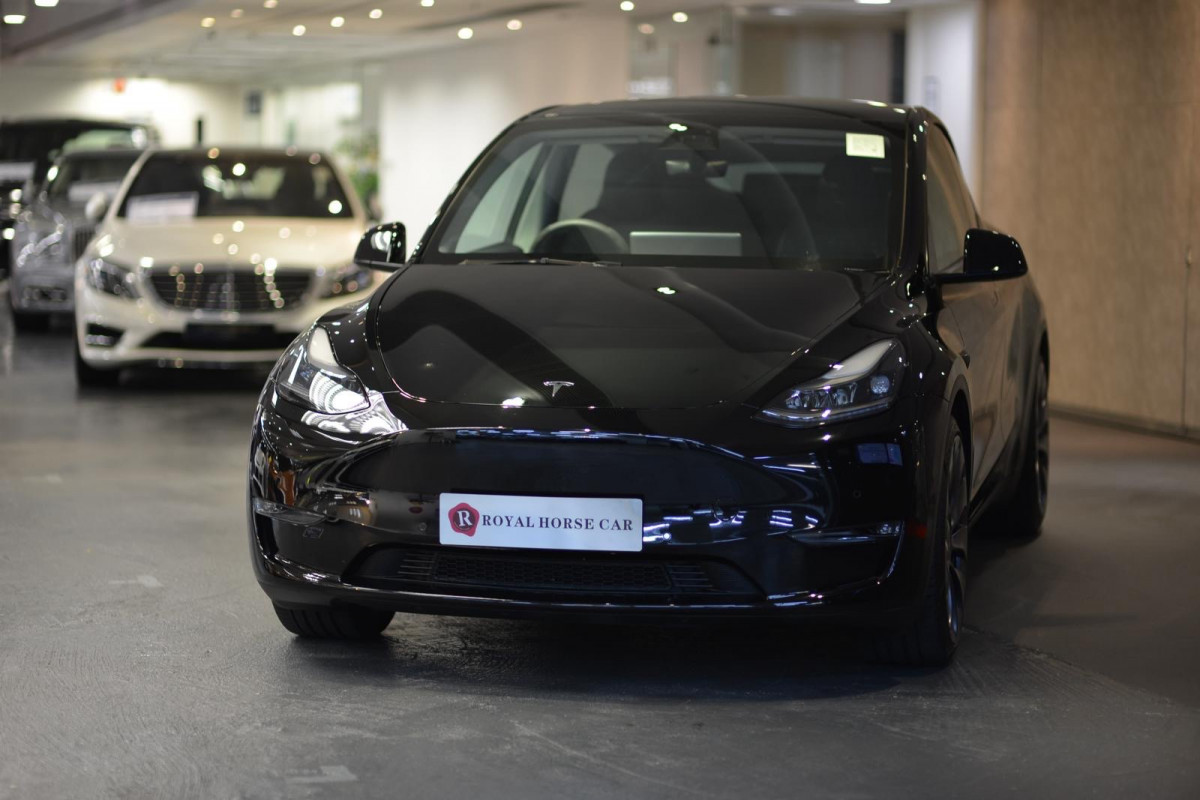 MODEL  Y  PERFORMANCE - Image 3