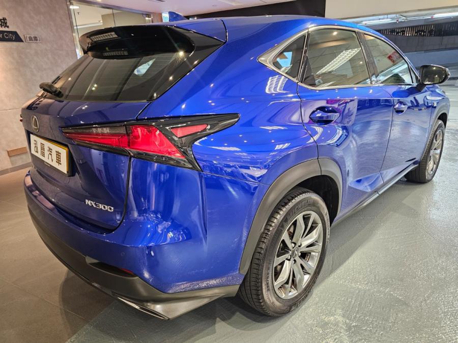 NX300 F sport - Image 4