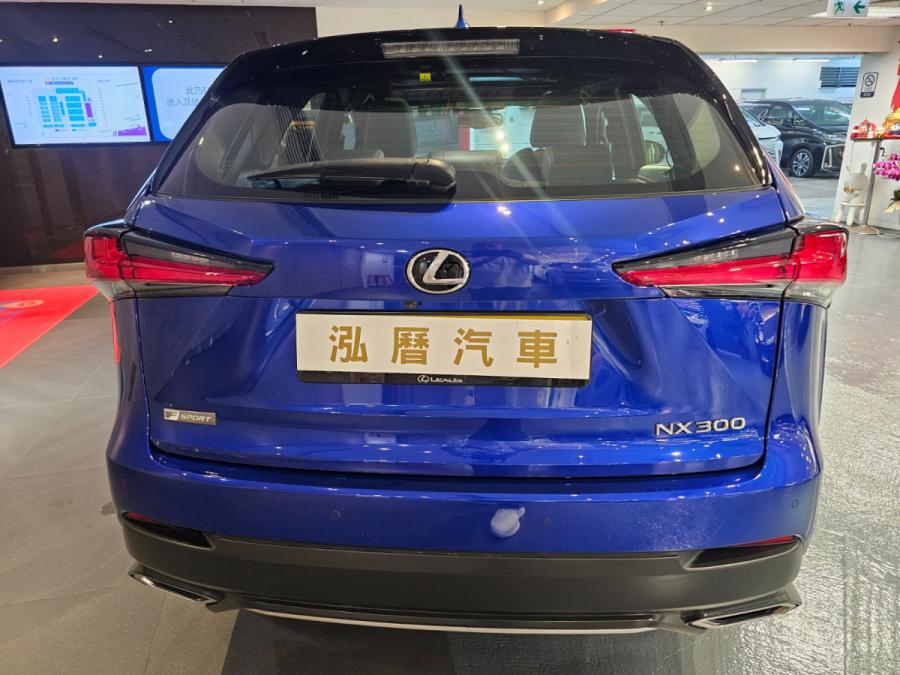 NX300 F sport - Image 5