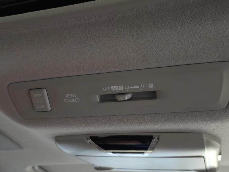 NOAH DELUXE - Image 9