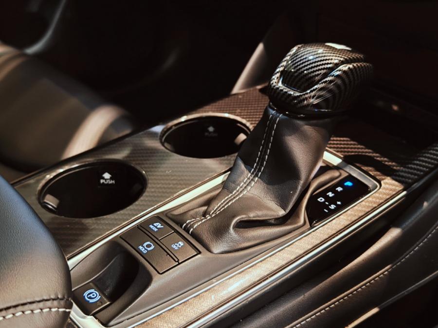 Crown Hybrid - Image 9