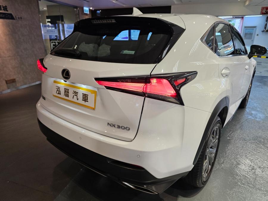 NX300 F sport - Image 6