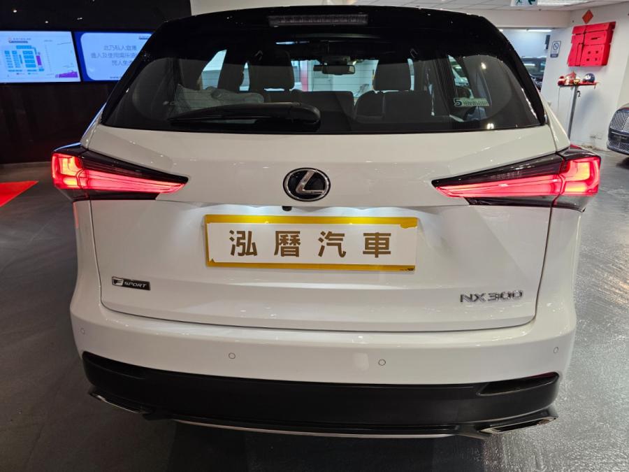 NX300 F sport - Image 7