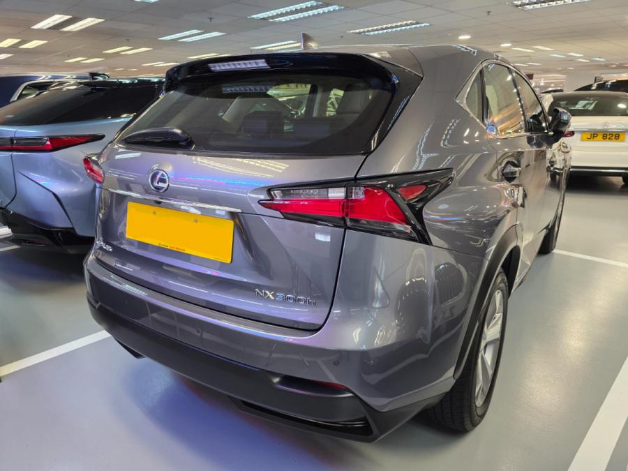 NX300H Hybrid - Image 19