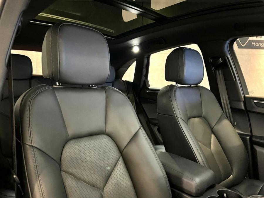 Macan - Image 14