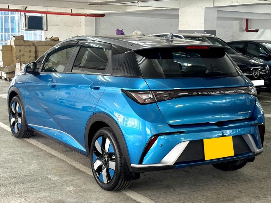 DOLPHIN PREMIUM 大電板 - Image 2