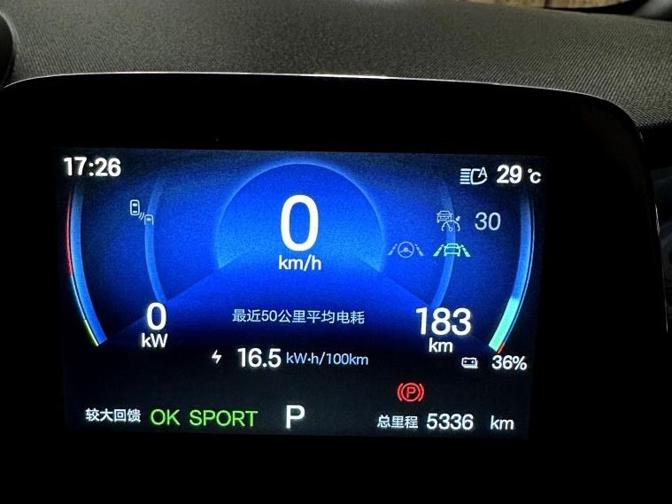 DOLPHIN PREMIUM 大電板 - Image 5