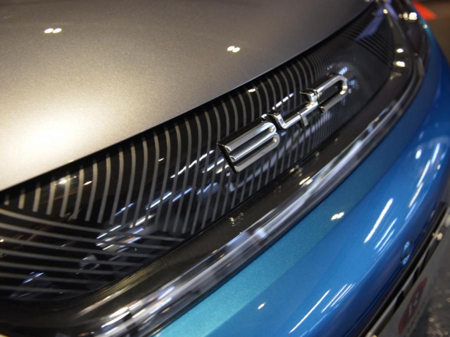 DOLPHIN PREMIUM 大電板 - Image 14