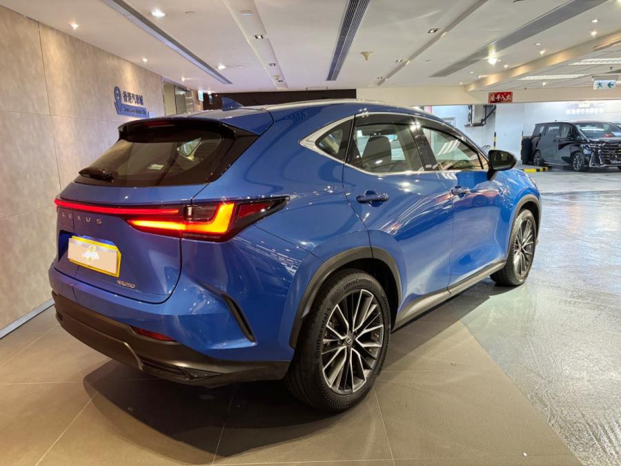 NX250 - Image 3
