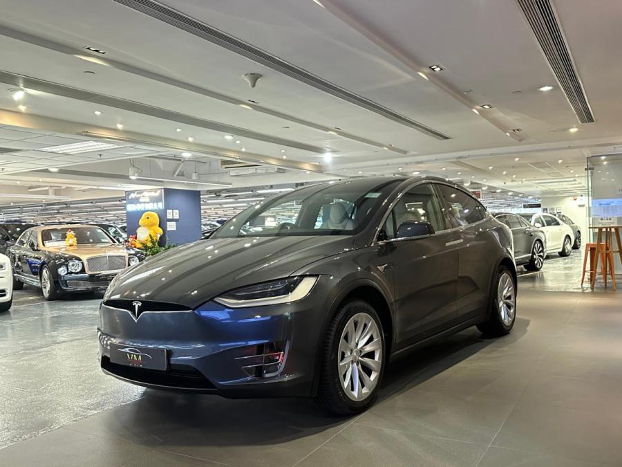 Model X Long Range - Image 3