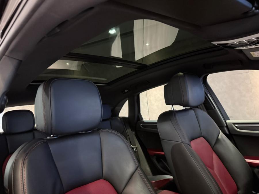Macan - Image 6
