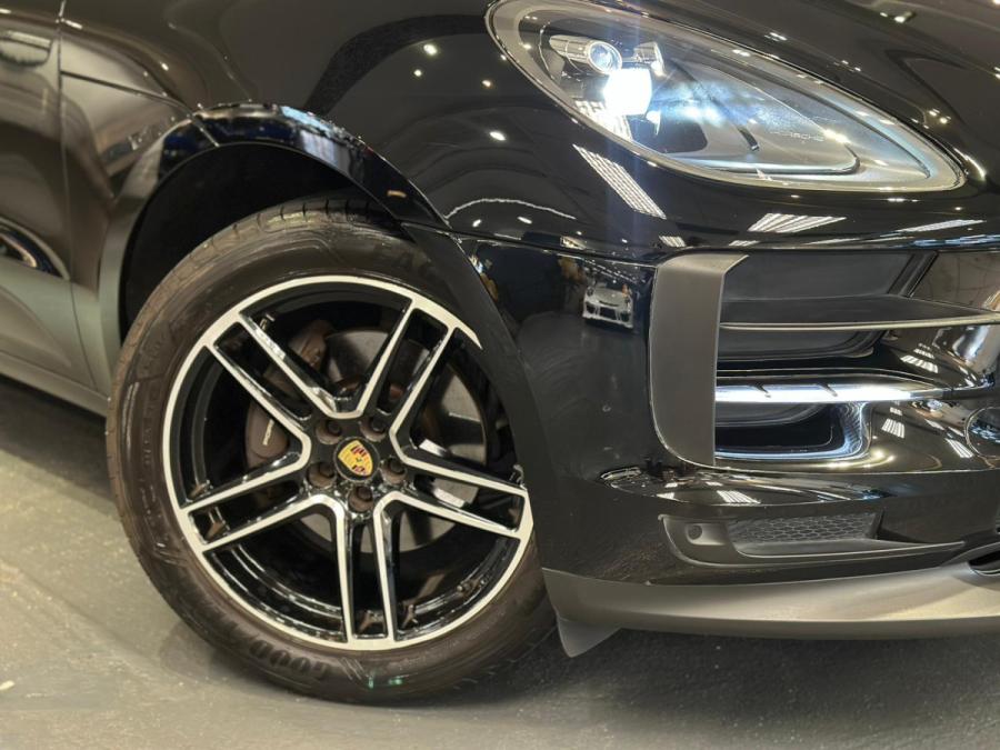 Macan - Image 7