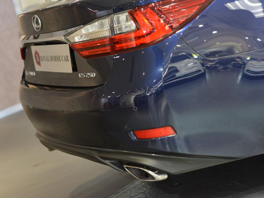 ES250 PREMIUM FACELIFT - Image 8