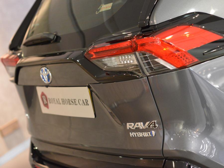 RAV 4 HYBRID FACELIFT - Image 9