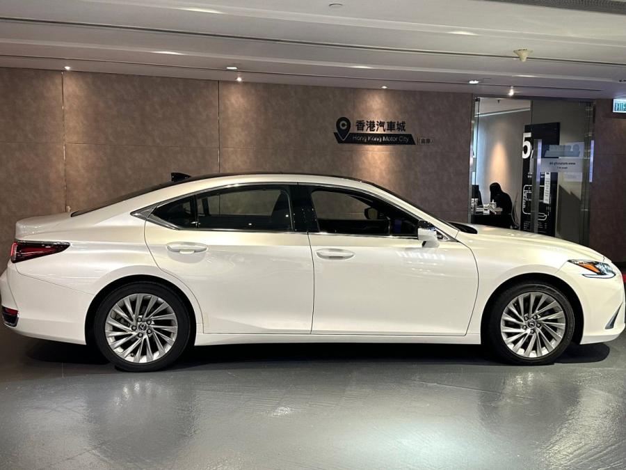 ES250 ULTIMATE - Image 2