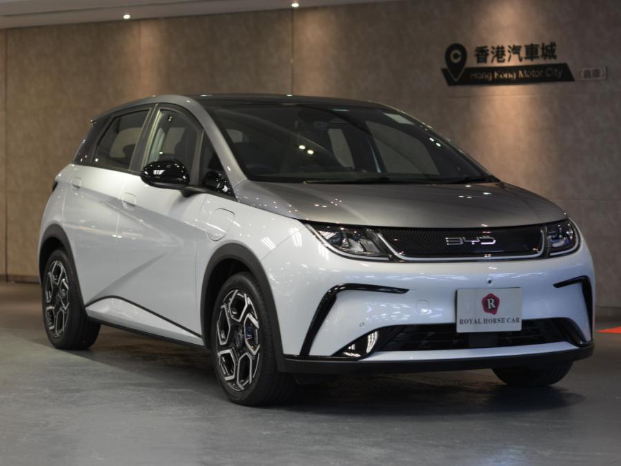 BYD 比亞迪 DOLPHIN PREMIUM 大電板