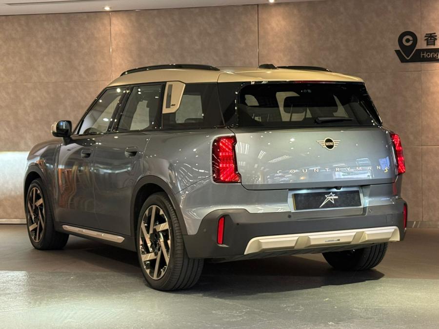 Countryman SE ALL4 - Image 2