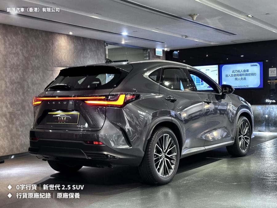 NX250 - Image 2