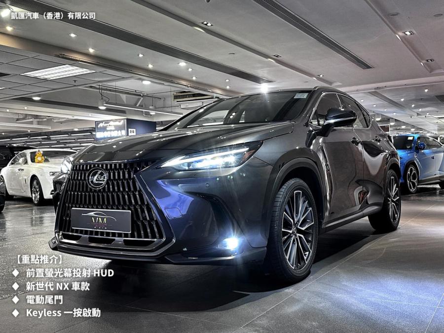NX250 - Image 3