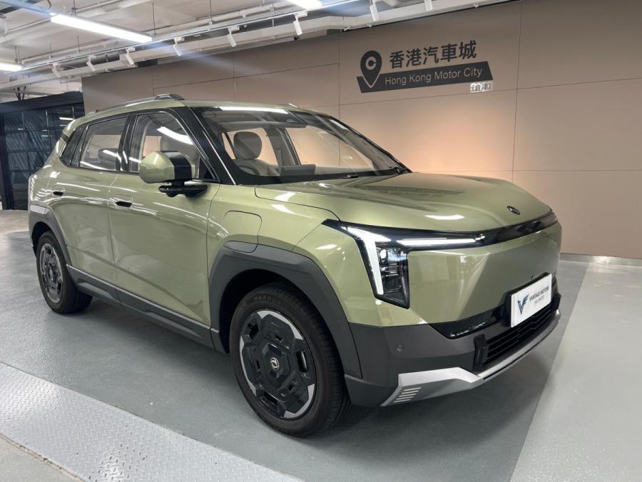 其他 Dongfeng Nammi Vigo Pro