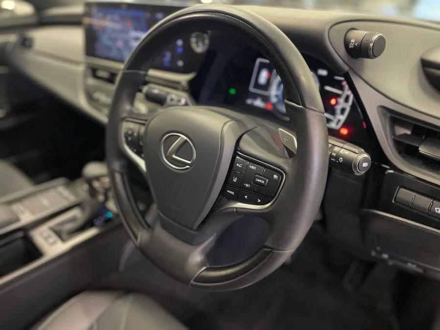 Es250 (Premium) - Image 17