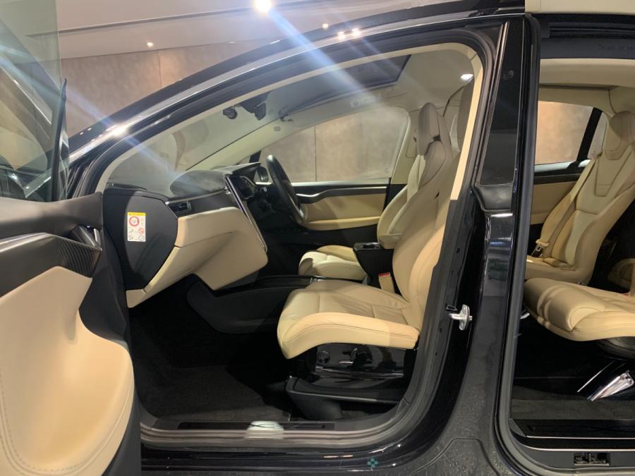 Model X P100D - Image 4