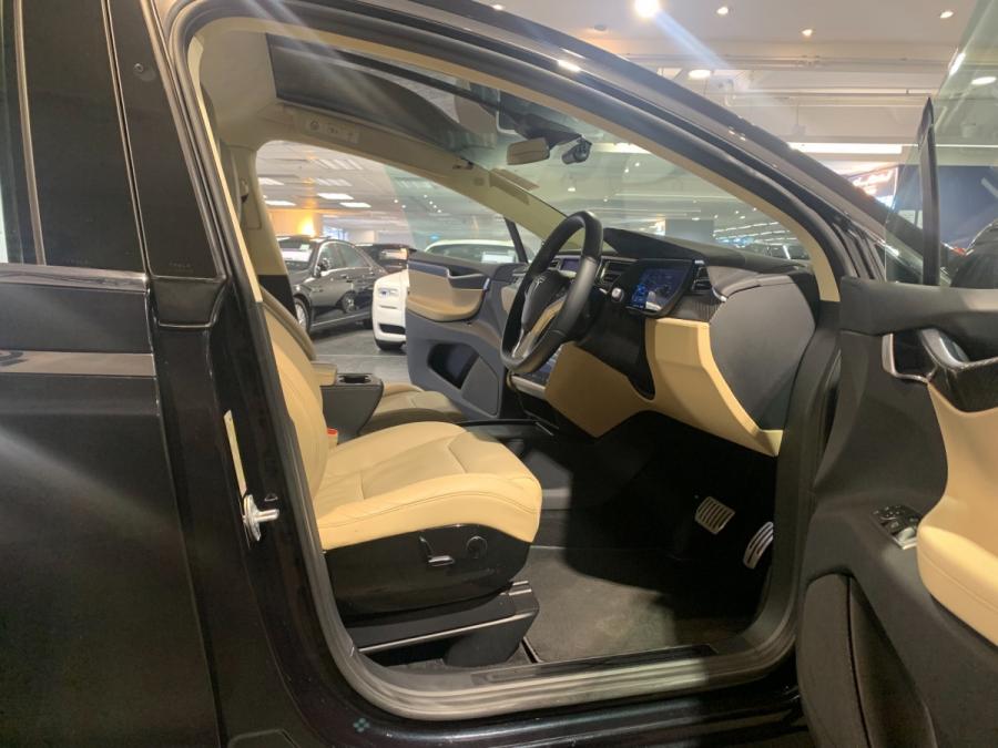 Model X P100D - Image 3