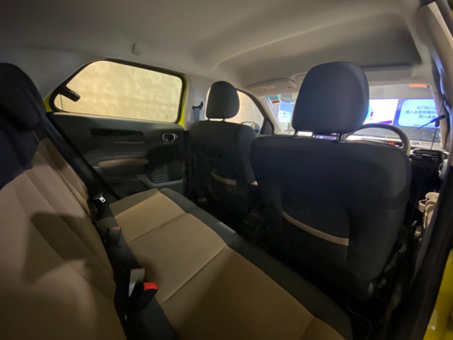 C4 CACTUS - Image 4