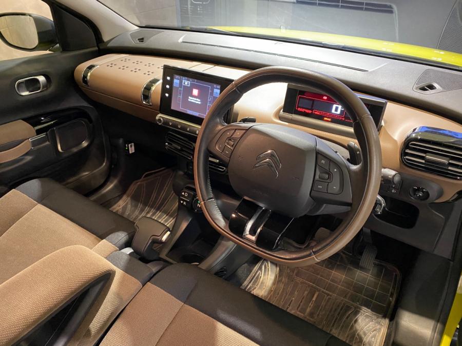 C4 CACTUS - Image 3