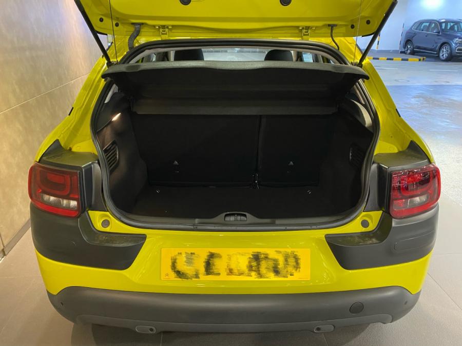 C4 CACTUS - Image 5