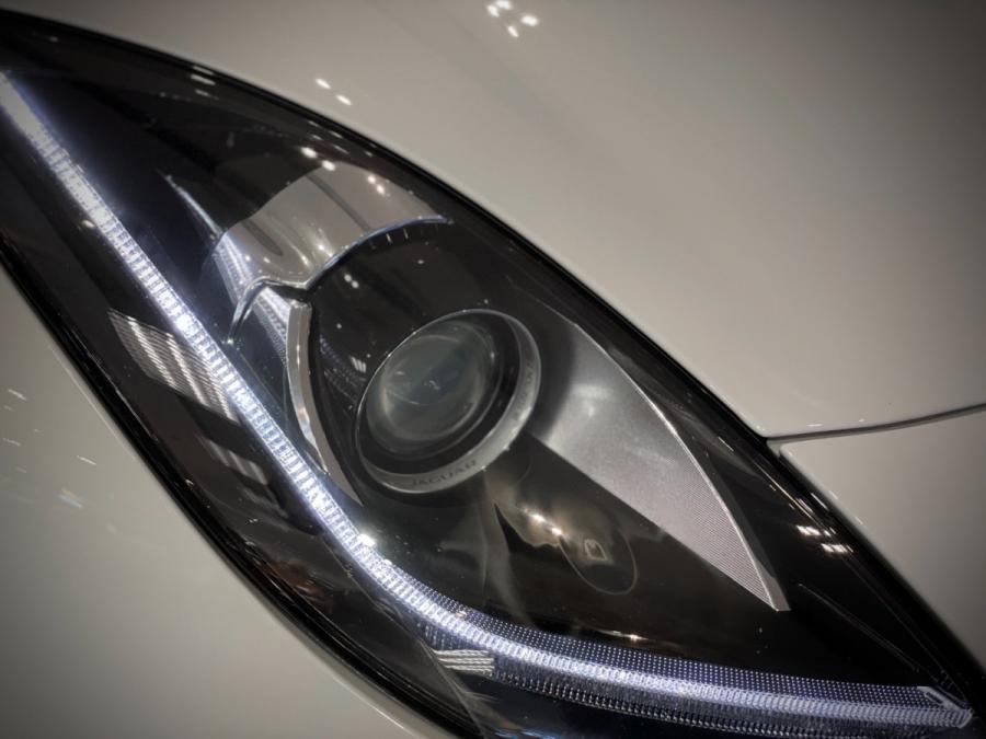 F Type - Image 3
