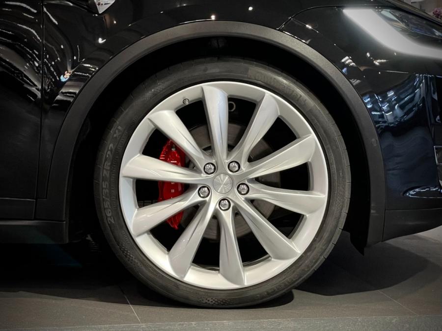 Model X P100D - Image 4