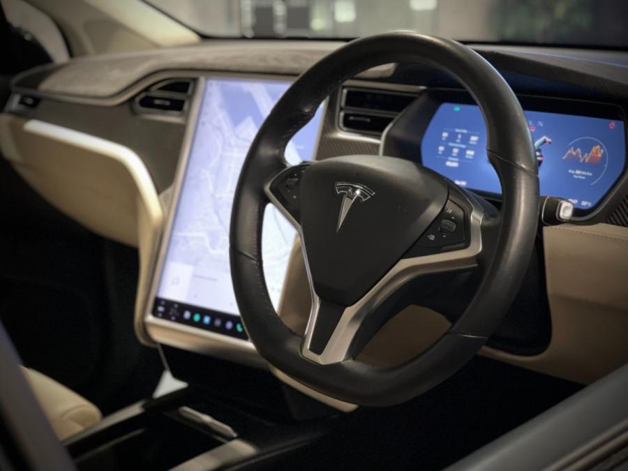 Model X P100D - Image 5