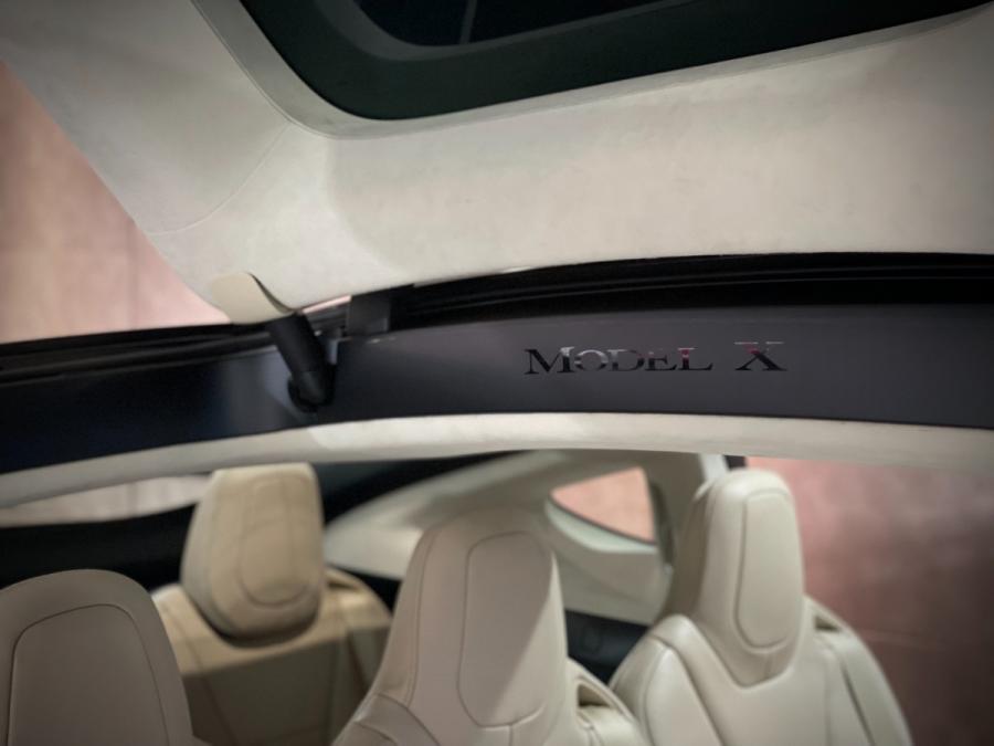 Model X P100D - Image 10