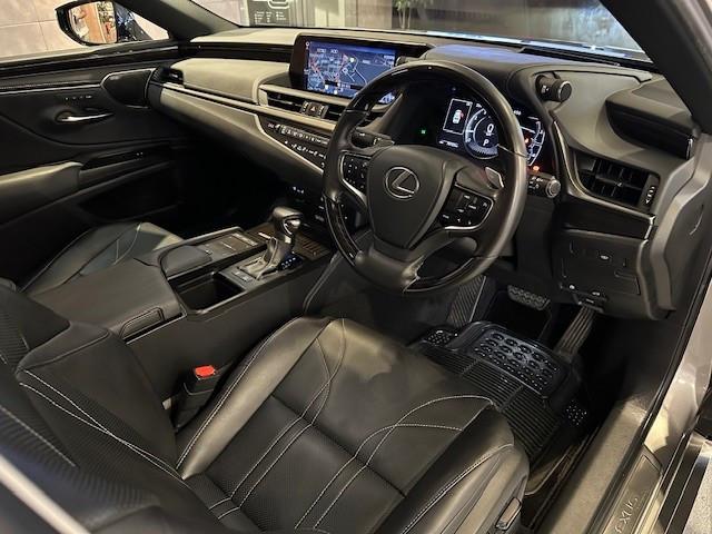 ES250 PREMIUM - Image 3