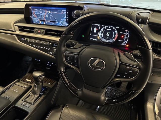 ES250 PREMIUM - Image 4