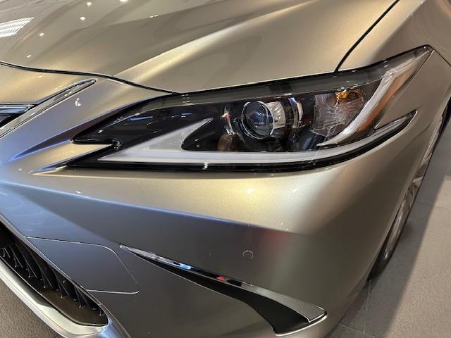 ES250 PREMIUM - Image 10