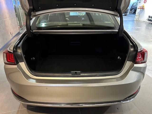 ES250 PREMIUM - Image 14