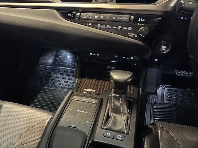 ES250 PREMIUM - Image 13