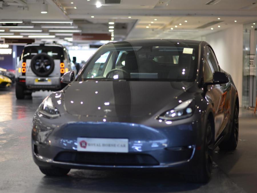 MODEL Y LONG RANGE - Image 2
