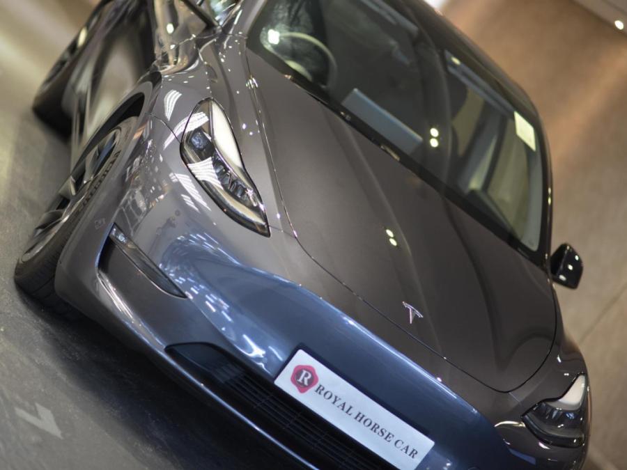 MODEL Y LONG RANGE - Image 13