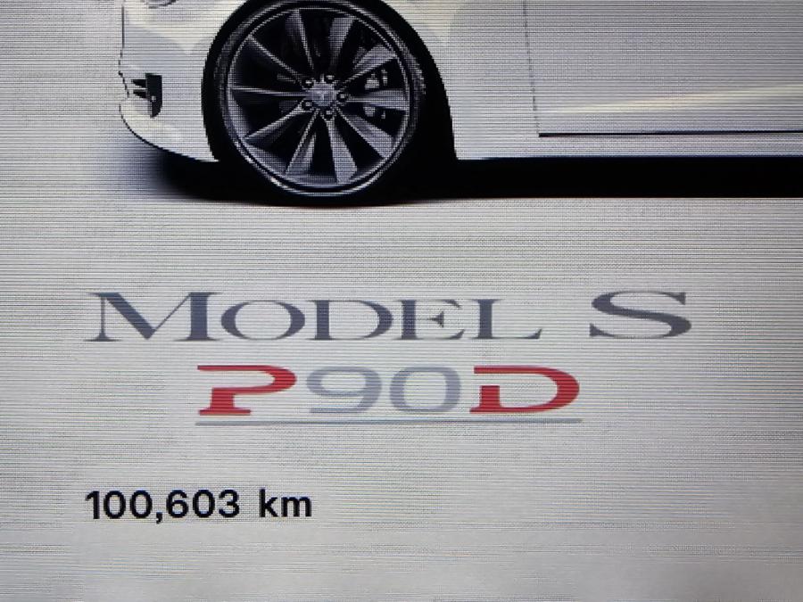 MODEL S 90 PERFORMANCE DUAL MOTOR - Image 11