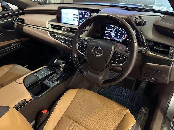 ES250 PREMIUM - Image 14
