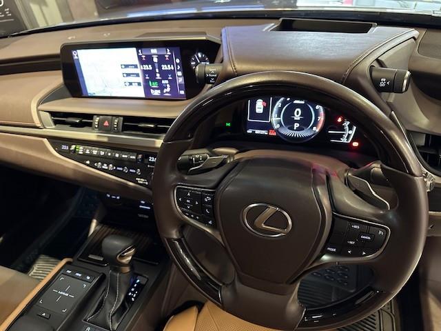 ES250 PREMIUM - Image 13