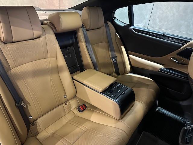 ES250 PREMIUM - Image 10