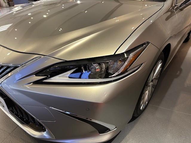 ES250 PREMIUM - Image 8