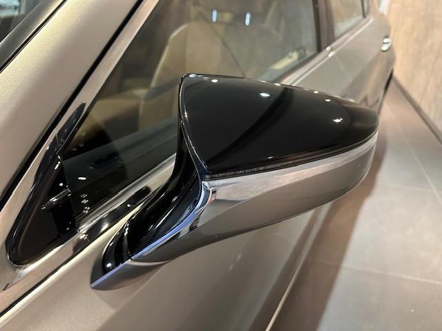 ES250 PREMIUM - Image 2